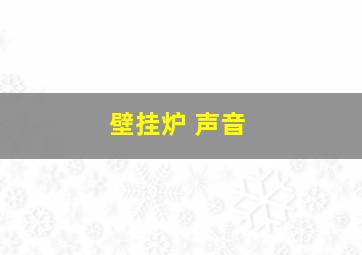 壁挂炉 声音